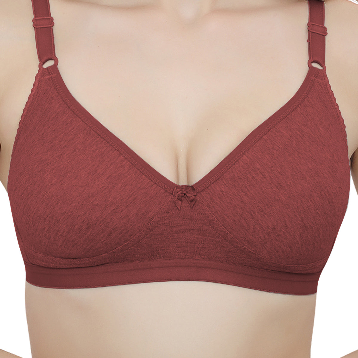 Plus Size Non padded Medium Coverage Daily Wear T Shirt Bra.